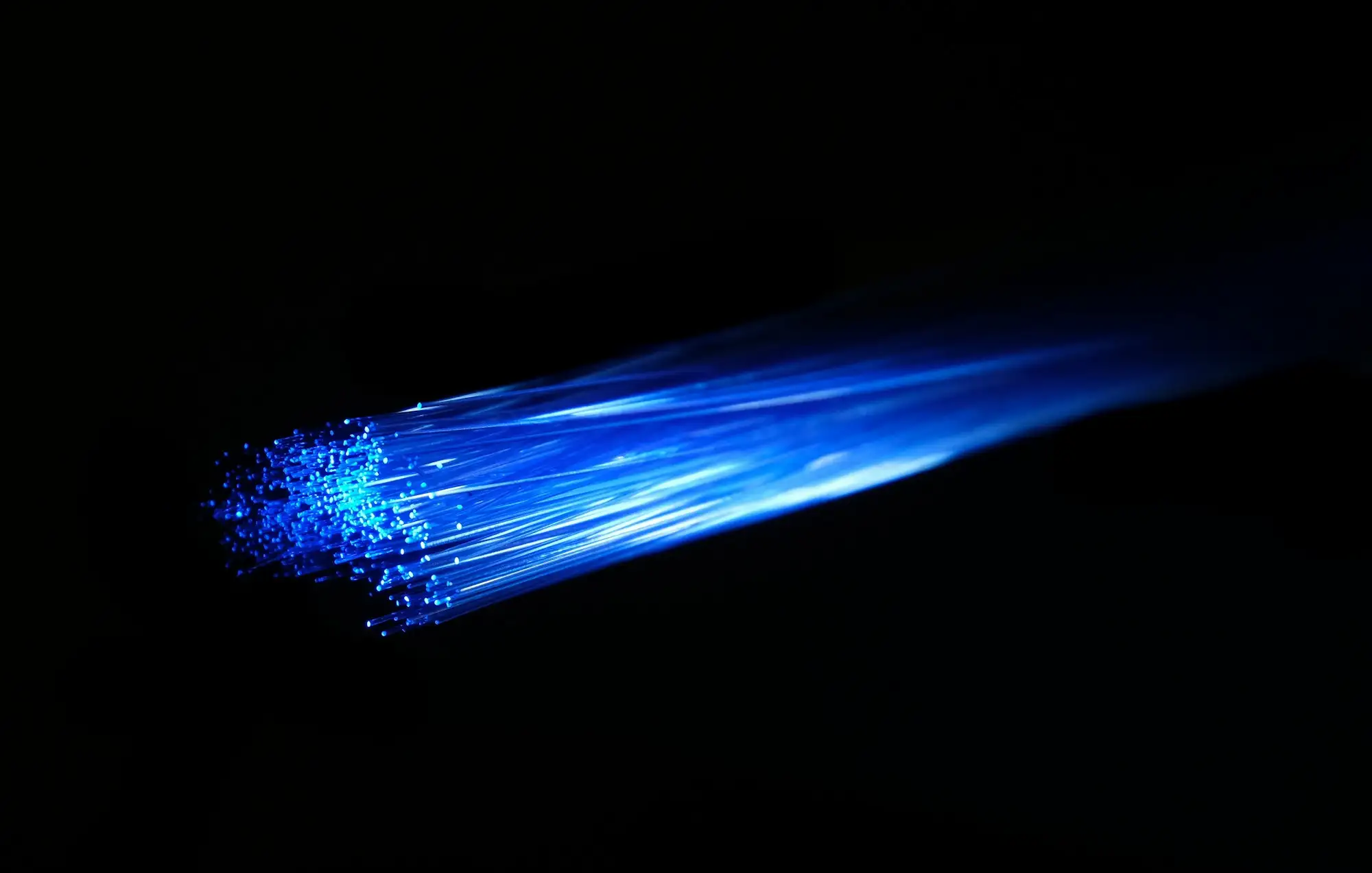 Brins de fibre optique illuminés sur fond sombre.