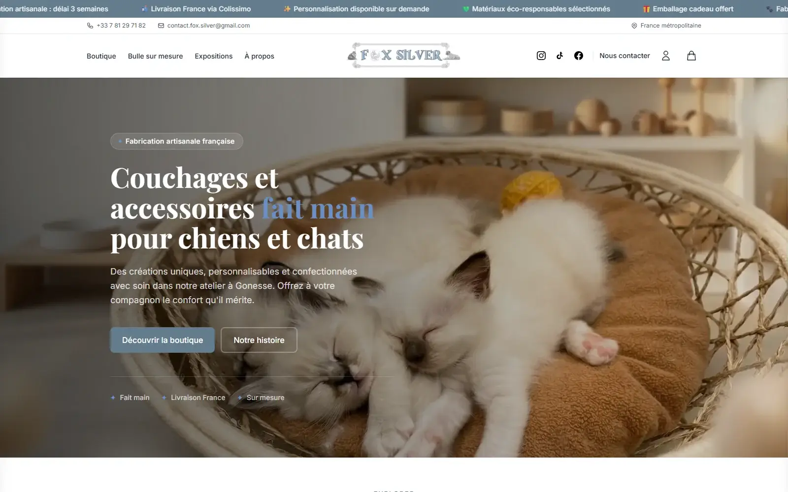 Page d’accueil de foxsilver.fr : deux chatons endormis dans un panier, titre « Couchages et accessoires fait main pour chiens et chats », boutons Découvrir la boutique et Notre histoire.